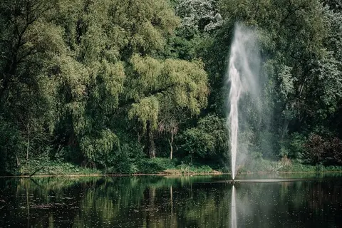 Jasne Błonia